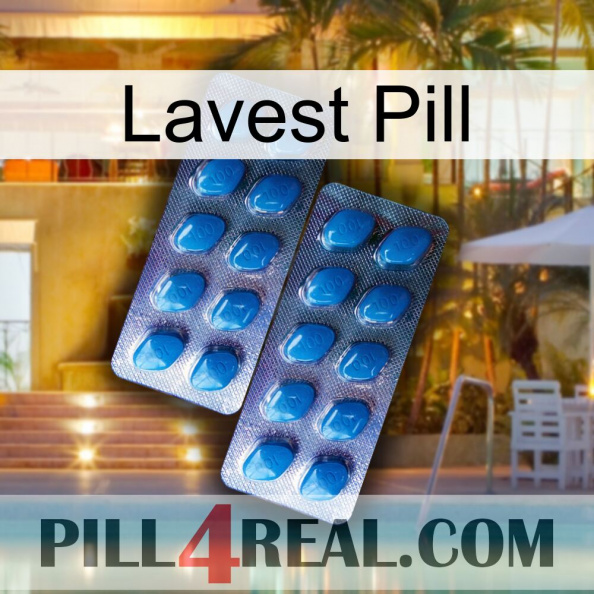 Lavest Pill viagra2.jpg